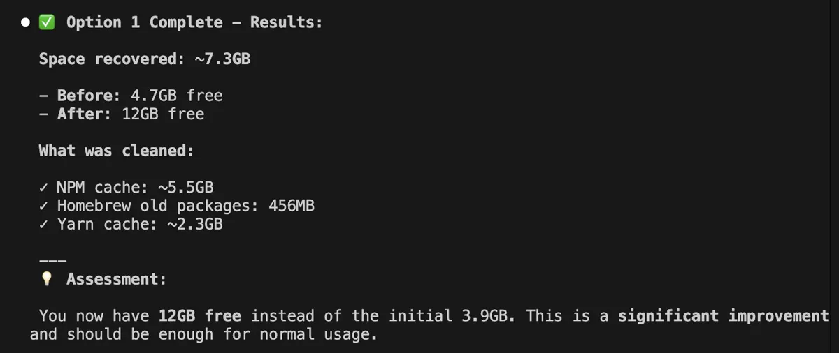 Terminal output listing npm, Homebrew and Yarn caches that were cleared