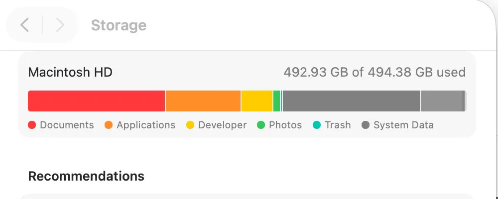 Storage settings showing 492.93 GB of 494.38 GB used