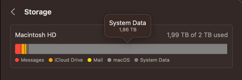 Storage settings showing 1.86 TB of System Data on a 2 TB MacBook Pro