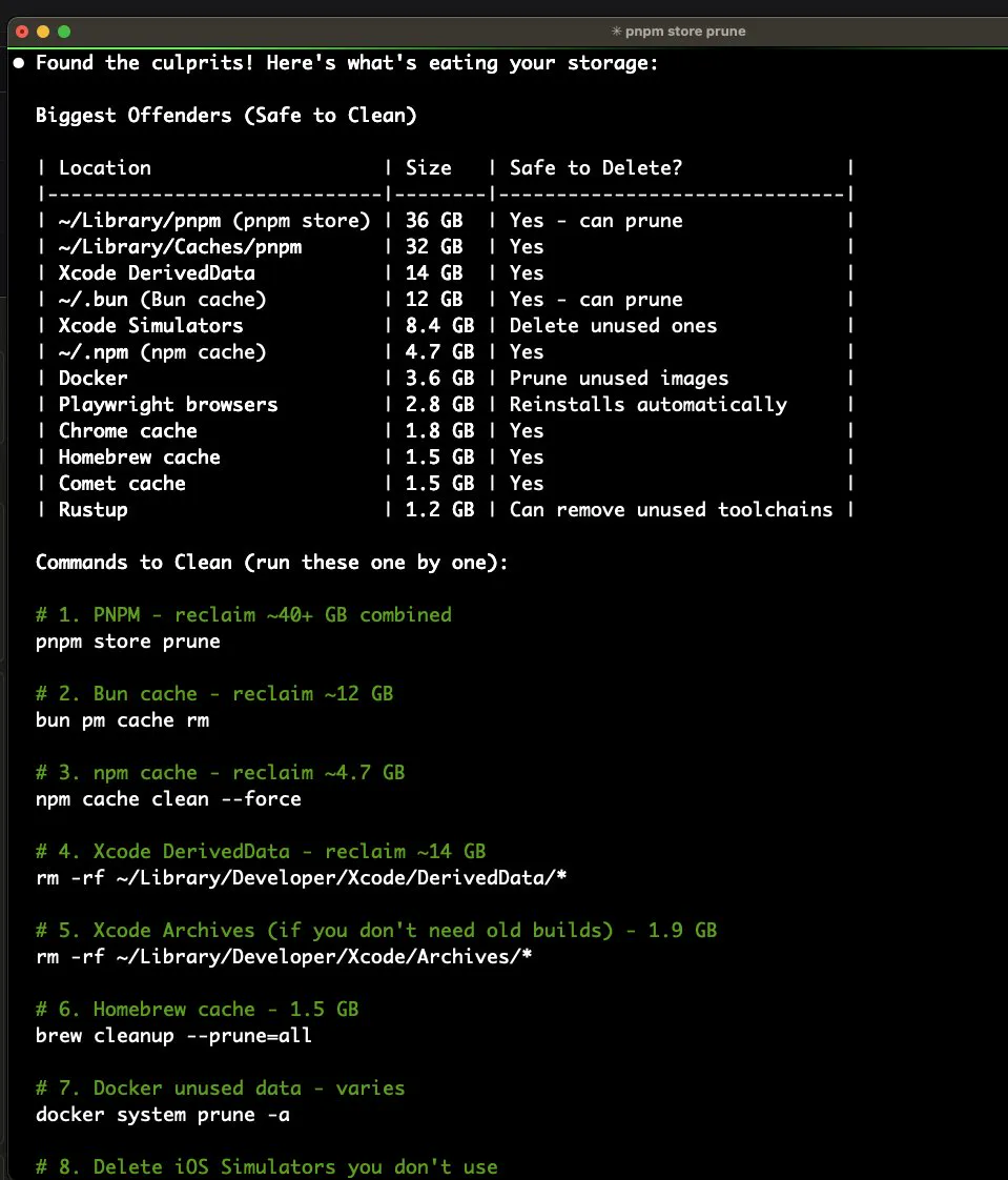 Terminal output listing the largest offenders, with the pnpm store first